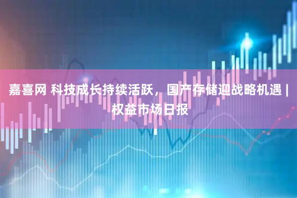 嘉喜网 科技成长持续活跃，国产存储迎战略机遇 | 权益市场日报