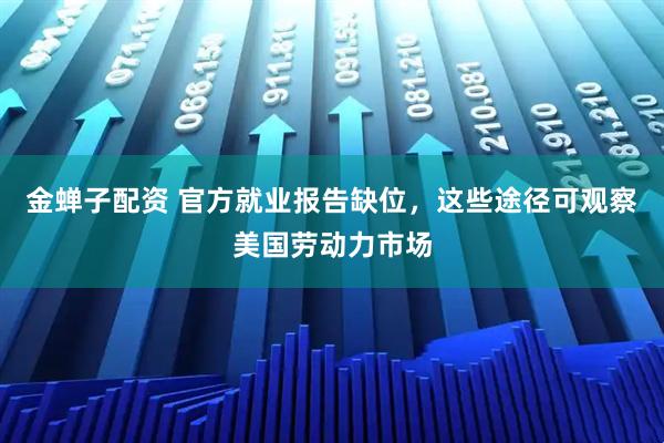 金蝉子配资 官方就业报告缺位，这些途径可观察美国劳动力市场