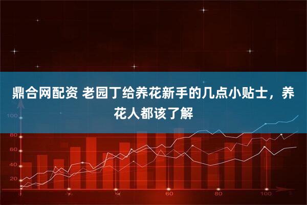 鼎合网配资 老园丁给养花新手的几点小贴士，养花人都该了解