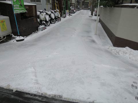 埼玉の雪